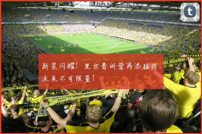 新星闪耀!里尔青训营再添猛将,未来不可限量!