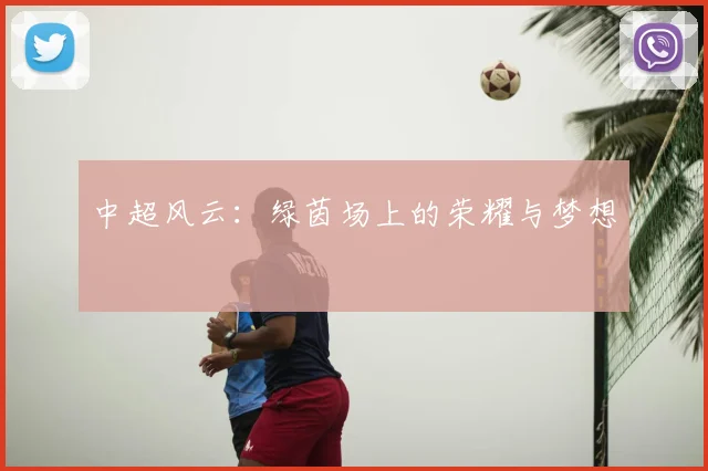中超风云:绿茵场上的荣耀与梦想